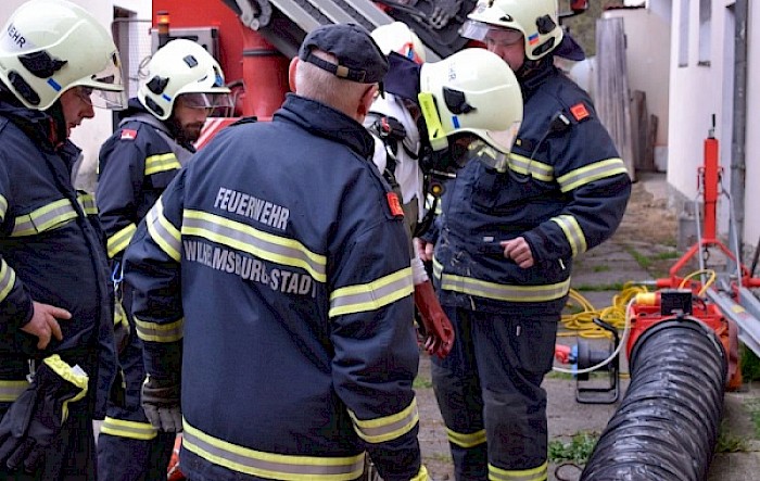 Stiere in Güllegrube eingebrochen