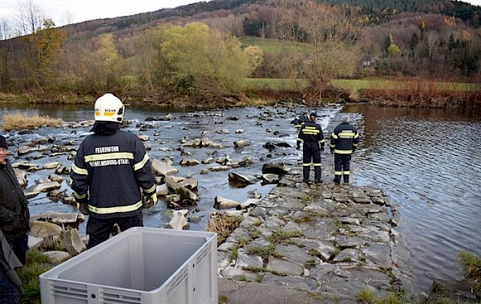 Tierrettung: Verletzter Schwan