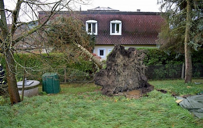 Sturmschaden Grubtalsiedlung