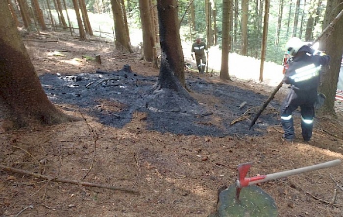 Waldbrand Steinwandleiten