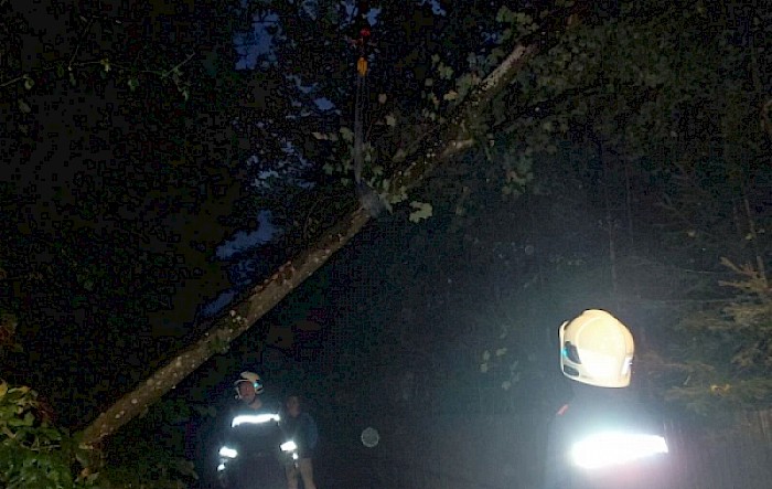 Einsatz: Baum über Straße Grubtal