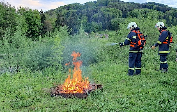 Waldbrand/Feuerlöscher Übung