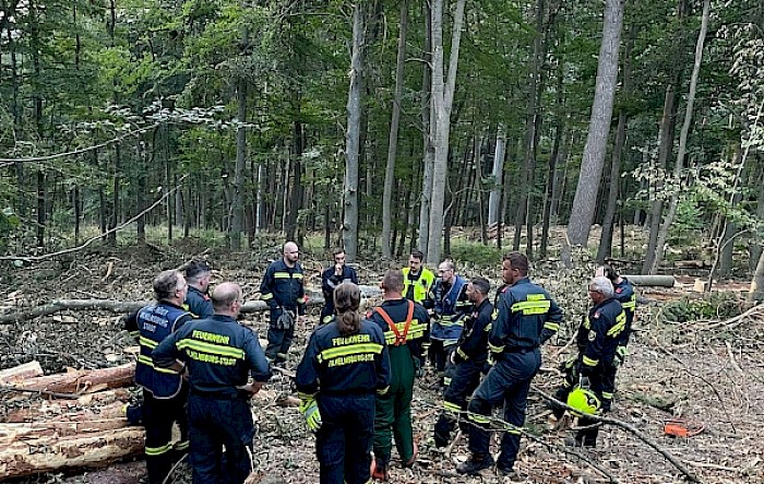 Übung: Menschenrettung nach Forstunfall