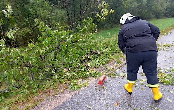 Baum über Straße Kreisbach