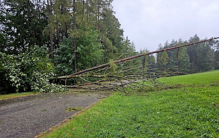 Sturmschaden Grubtalstraße