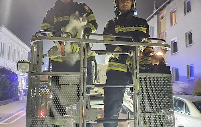 Tierrettung Penknergasse