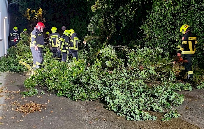 Baum über Straße
